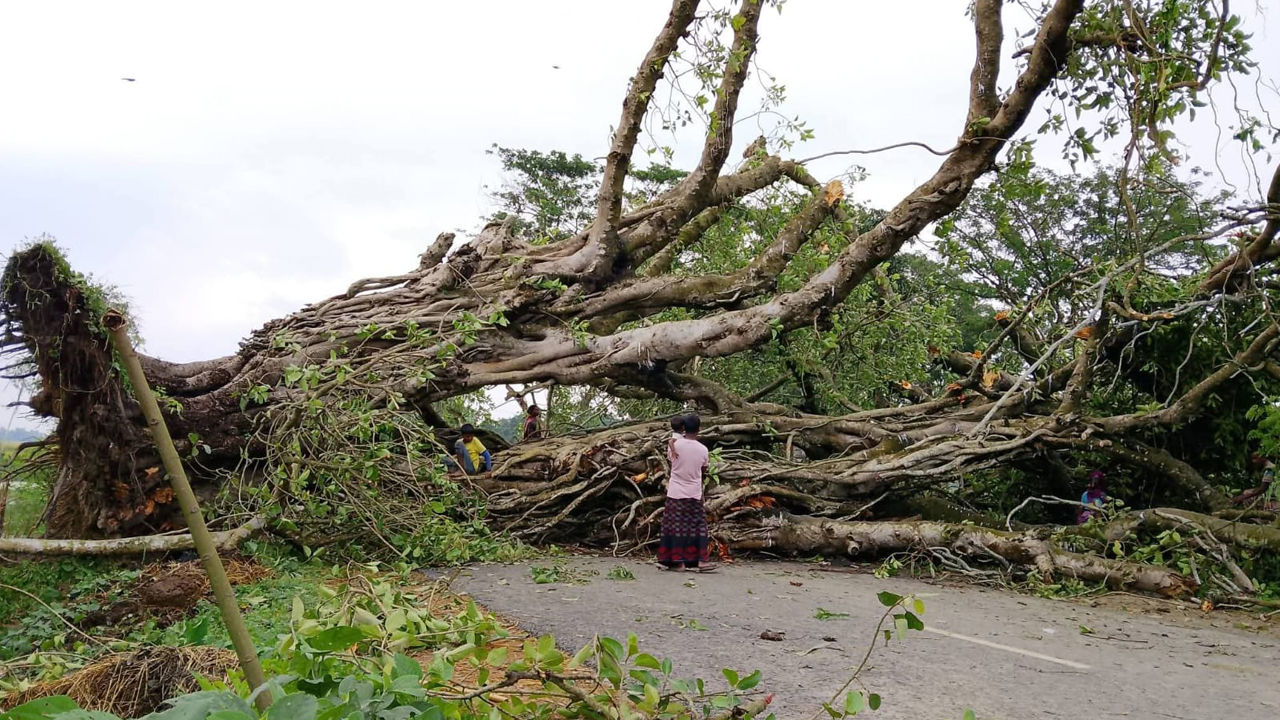 নওগাঁয় ঝড়ে লন্ডভন্ড বাড়িঘর-দোকানপাট