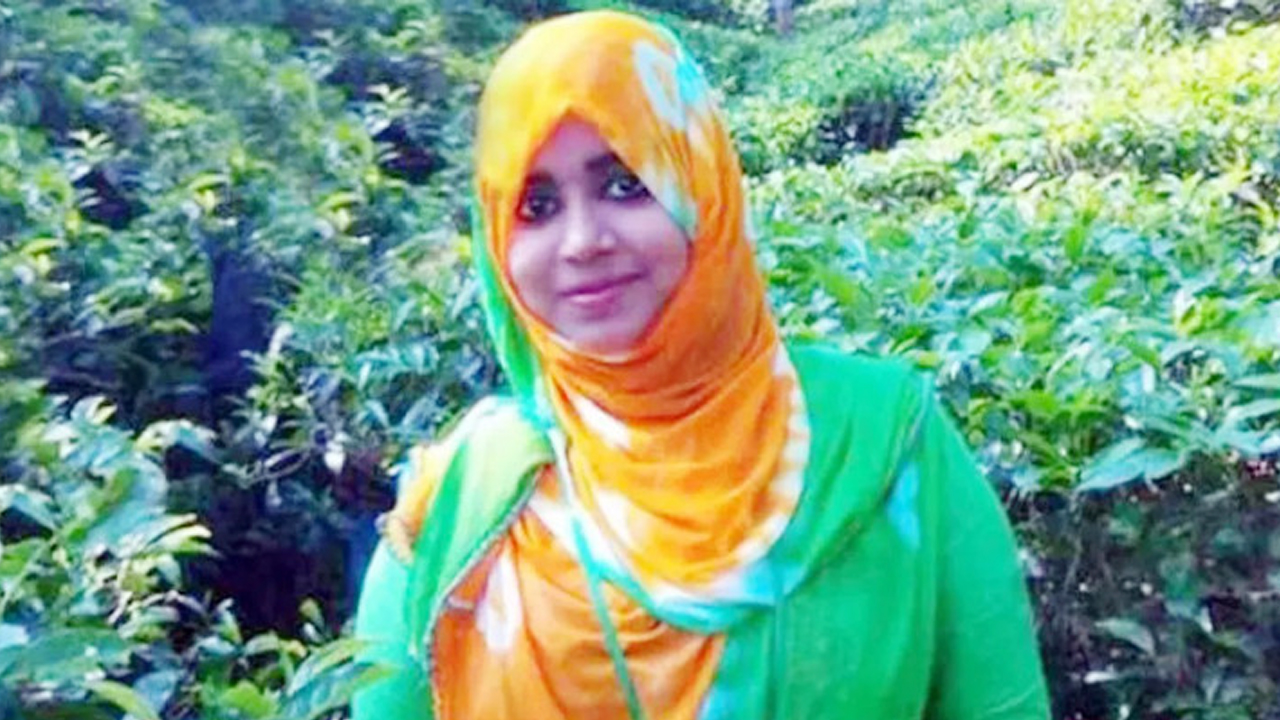 ফাইল ছবি