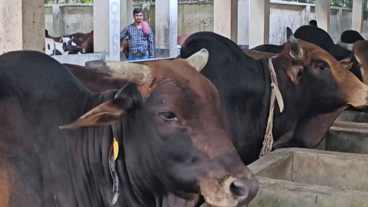ছবি: দেশ টিভি
