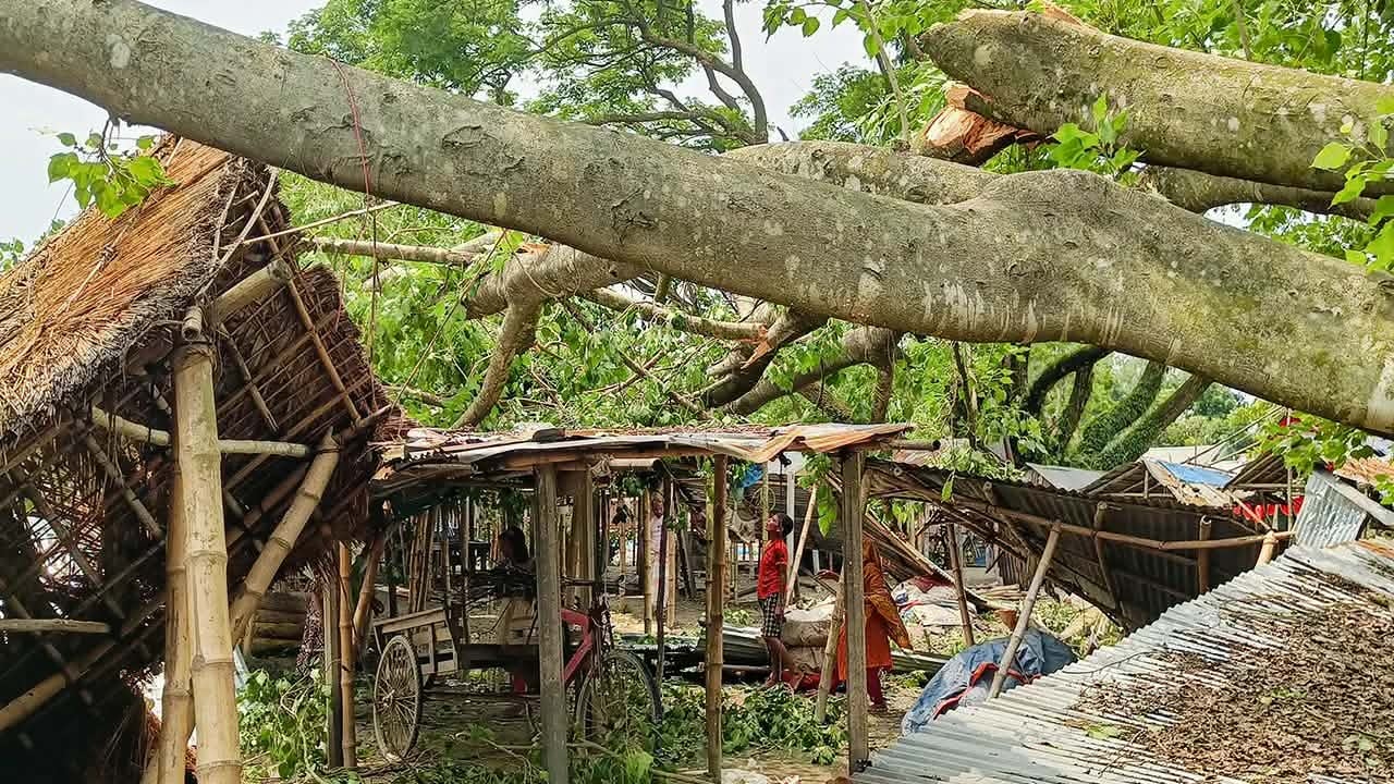 ছবি: দেশ টিভি