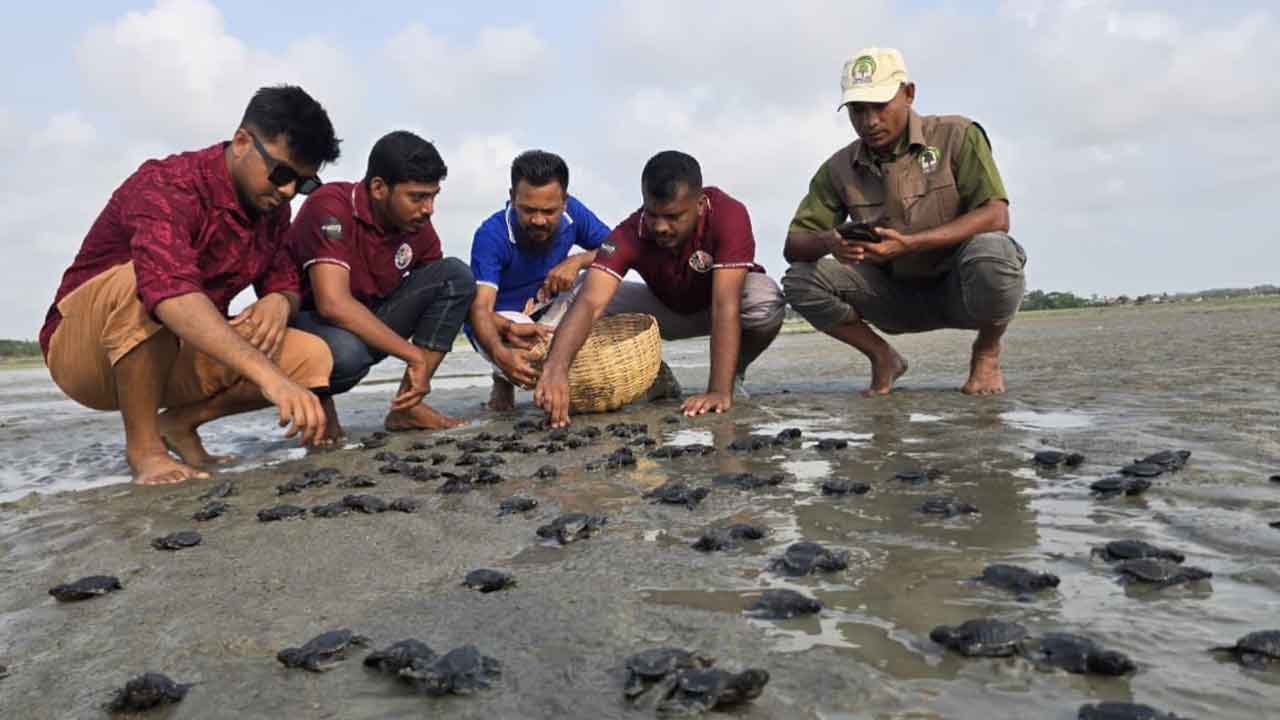 ছবি: দেশ টিভি