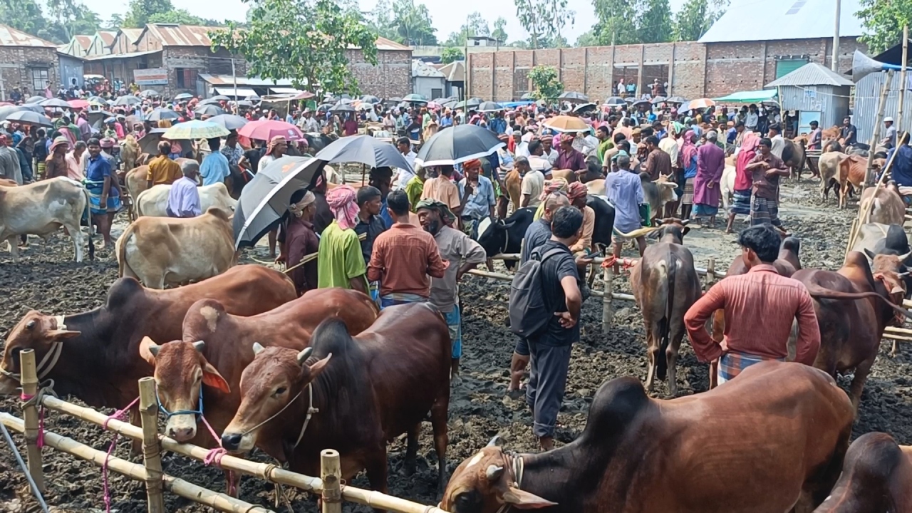 ছবি: দেশ টিভি