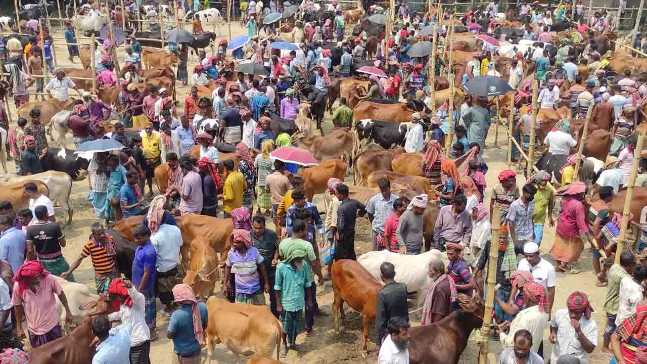 ছবি: দেশ টিভি