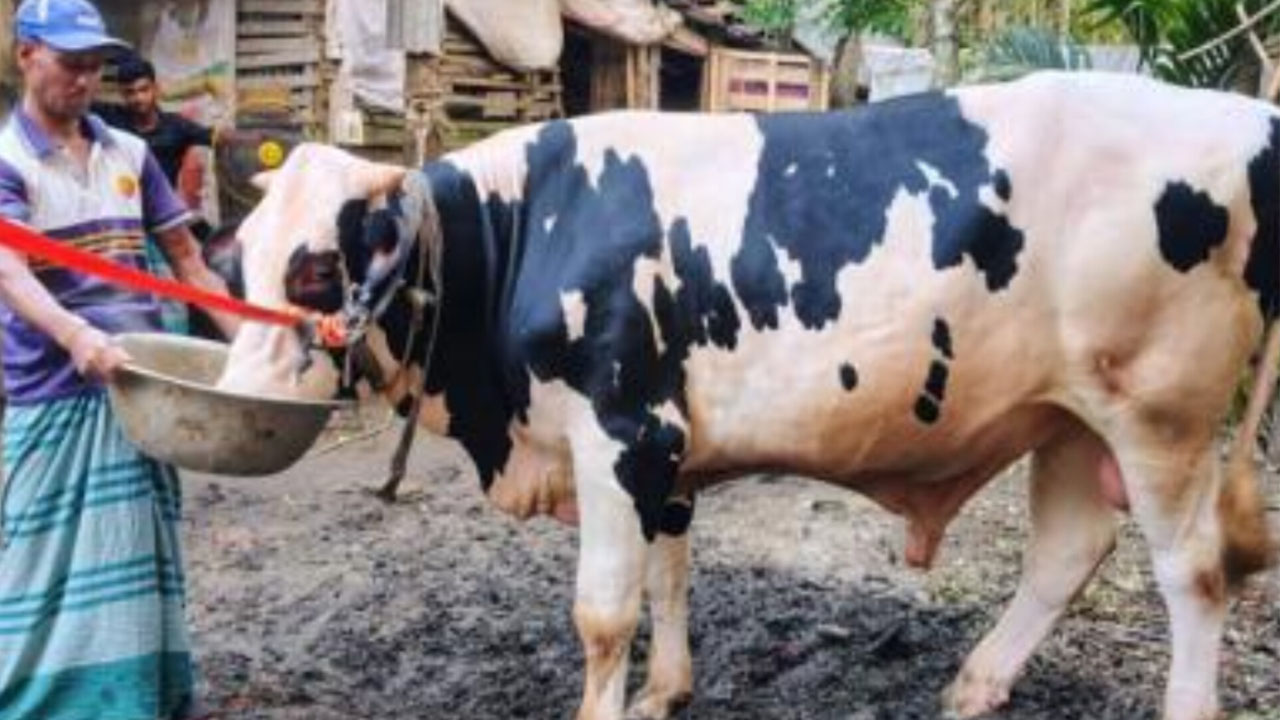 ছবি: দেশ টিভি