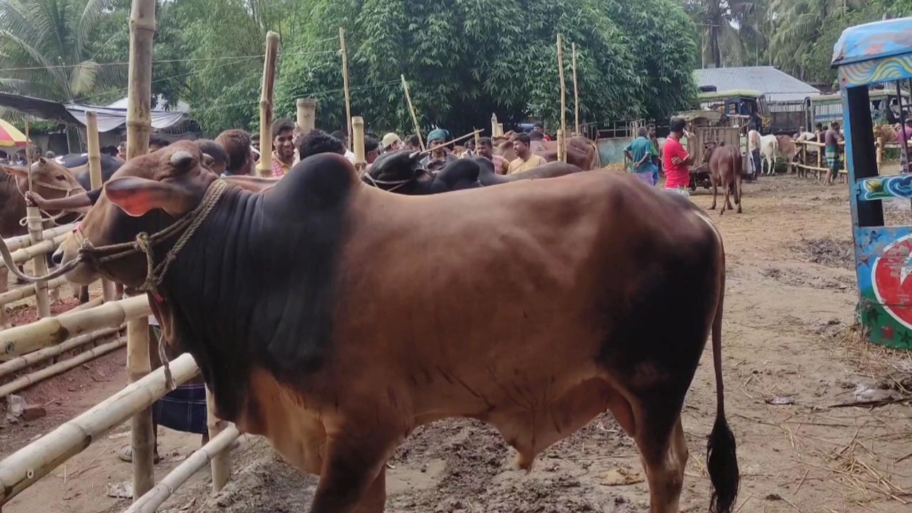 ছবি: দেশ টিভি