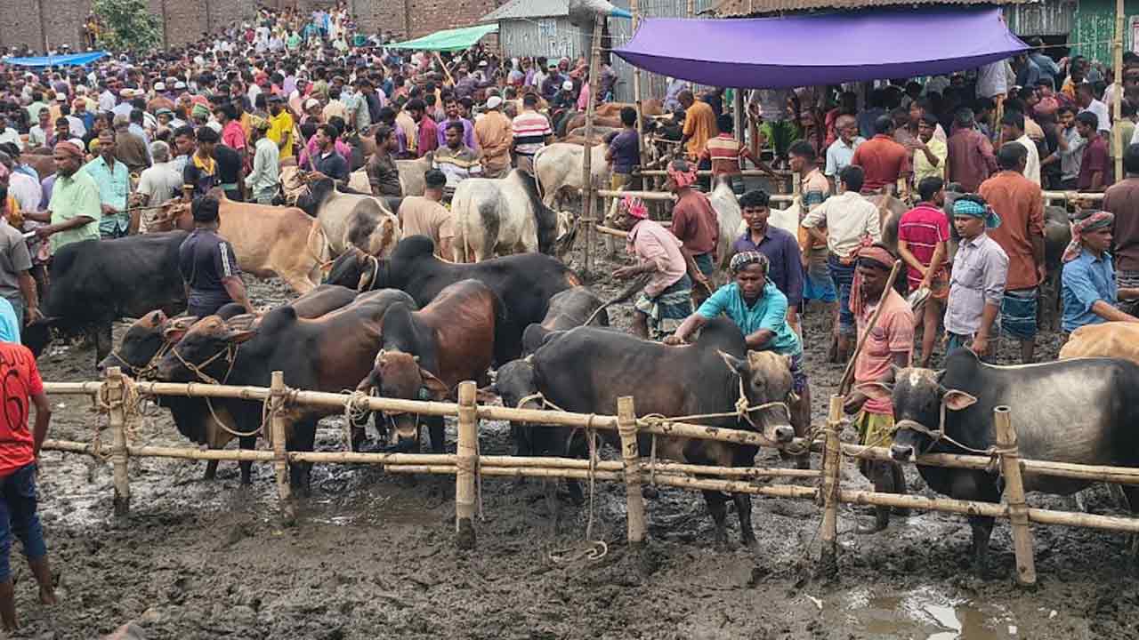 ছবি: দেশ টিভি