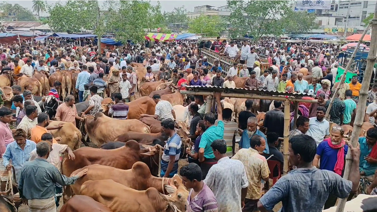 ছবি: দেশ টিভি