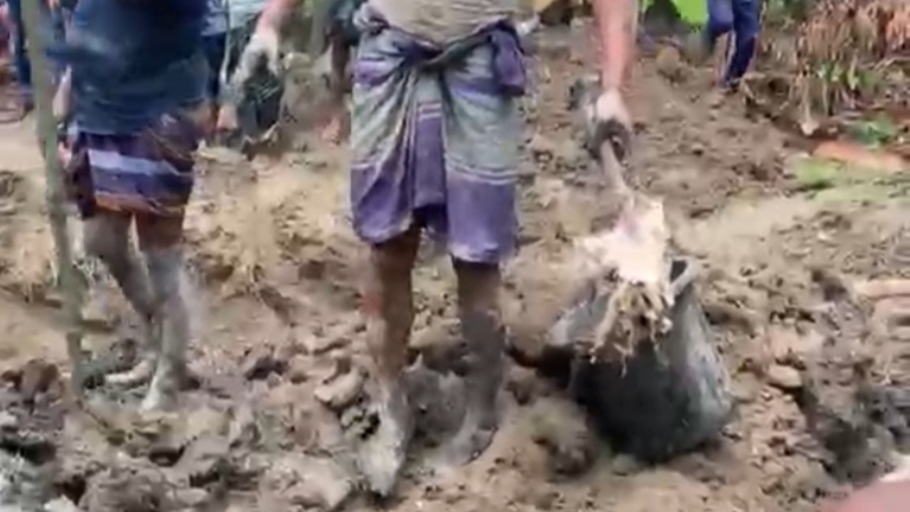 ছবি: দেশ টিভি