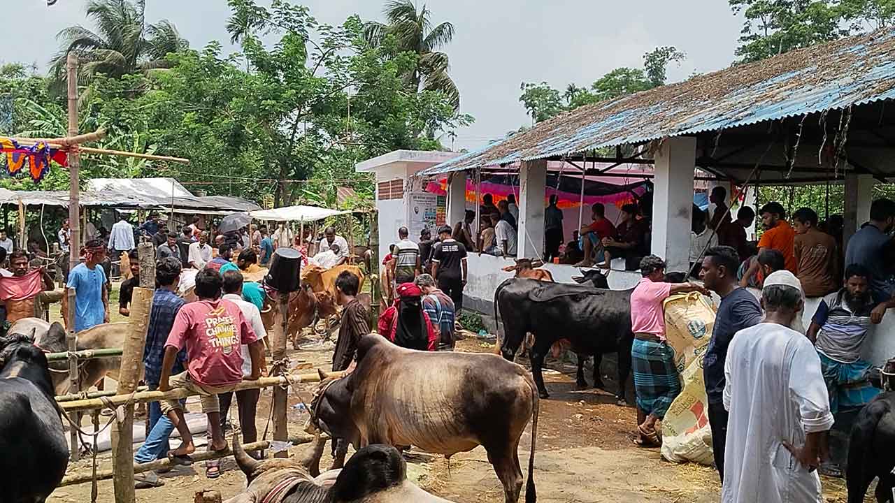 ছবি: দেশ টিভি