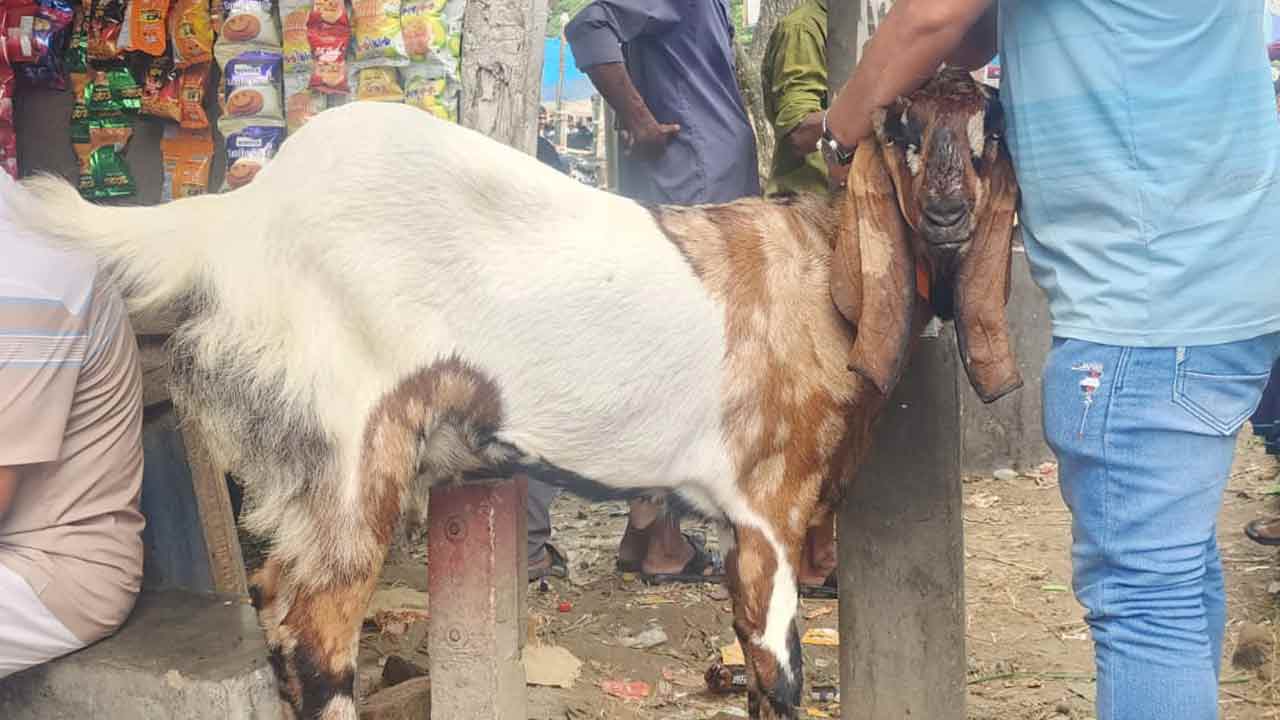 ছবি: দেশ টিভি