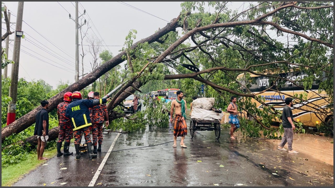 ছবি: দেশ টিভি