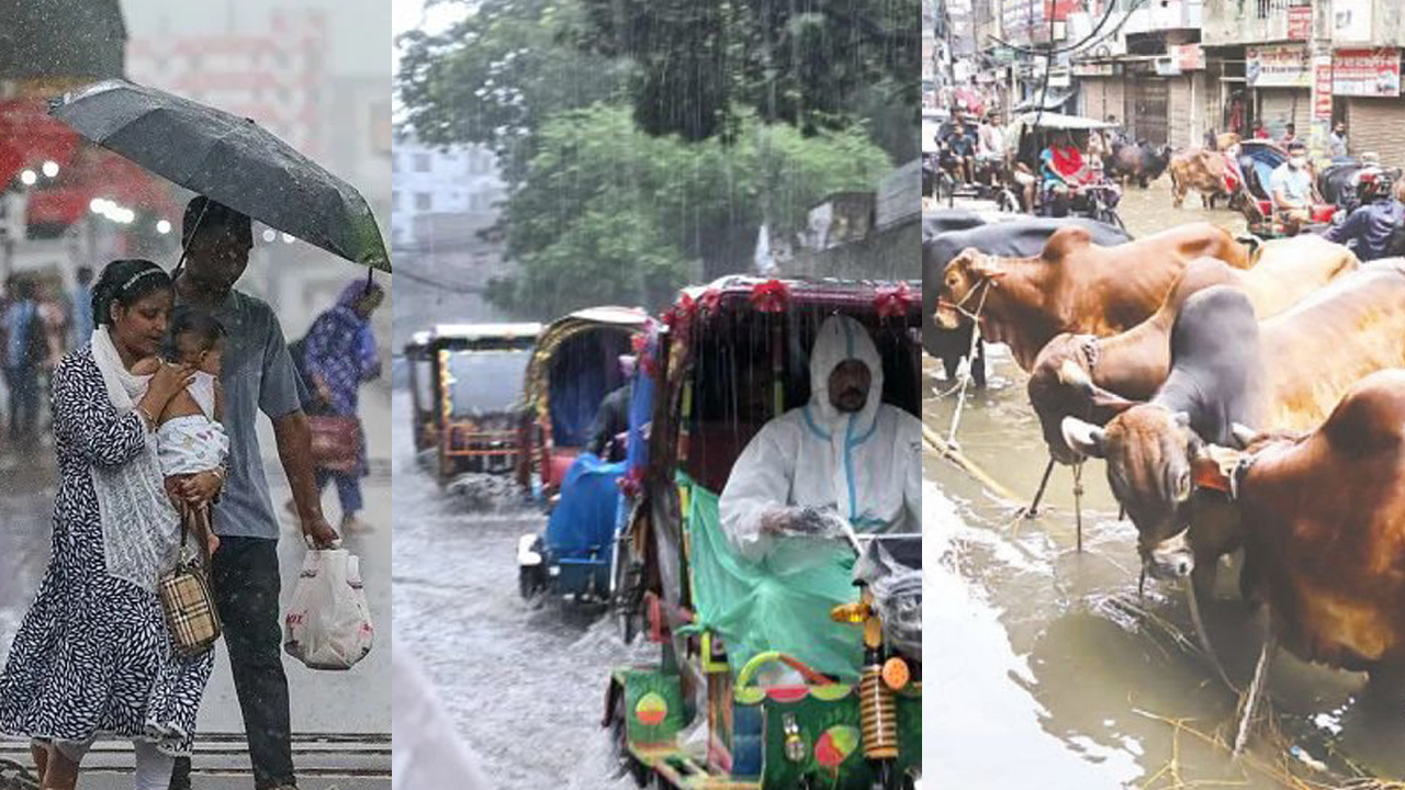বৃষ্টিতে ঈদযাত্রা ও পশুর হাটে ভোগান্তি