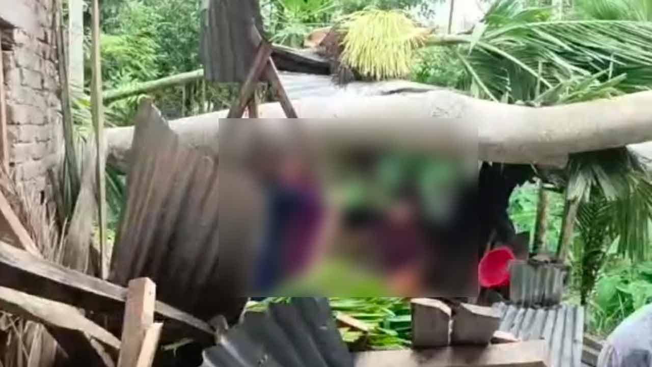 কালবৈশাখী ঝড়ে ঘরের ওপর গাছ পড়ে গৃহবধূর মৃত্যু