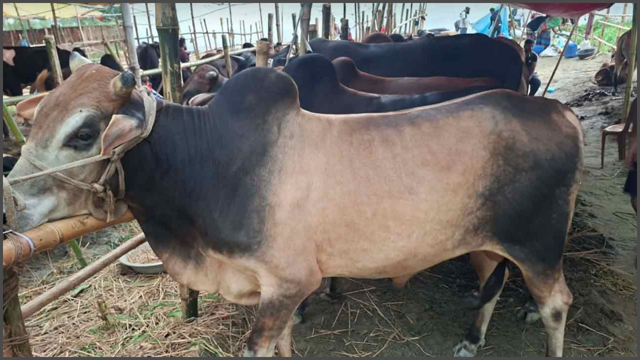 বিক্রি বাড়লেও &lsquo;বাজার ভালো না&rsquo; বলছেন বিক্রেতারা