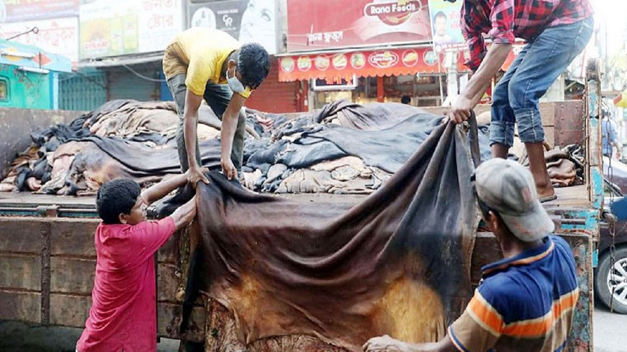 কুরবানির চামড়ার বাজারে ধস নামার পাঁচ কারণ