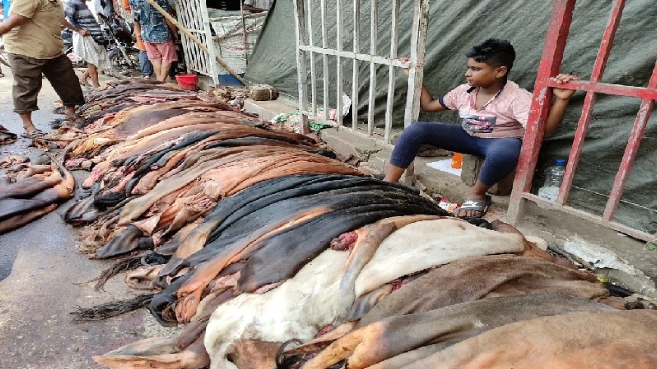 পোস্তায় জমে উঠেছে কাঁচা চামড়ার বেচাকেনা