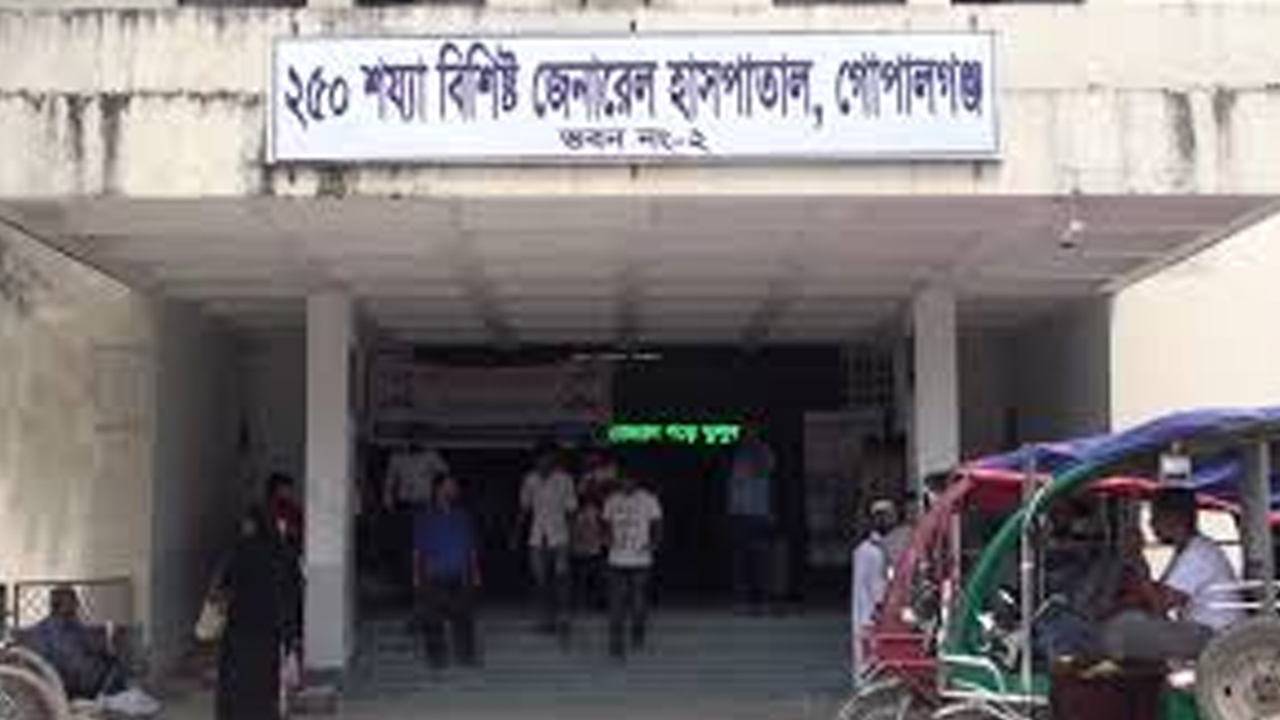 ফাইল ছবি