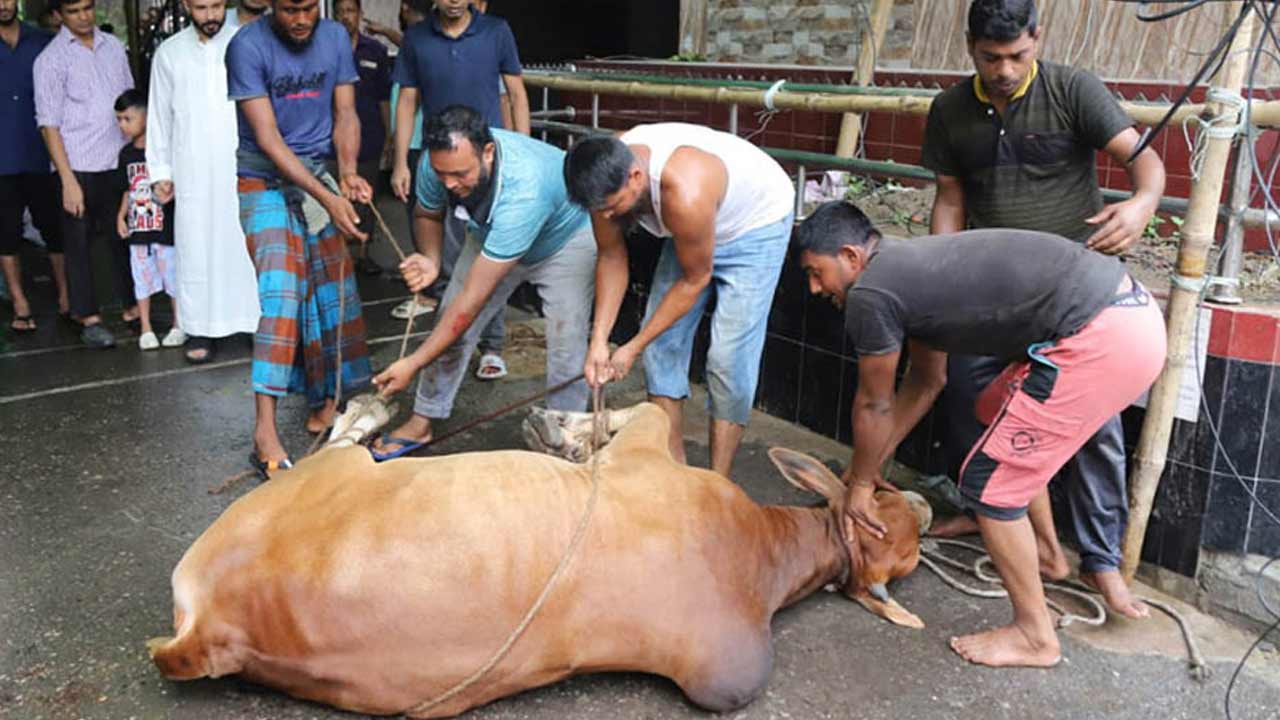 ছবি: সংগৃহীত