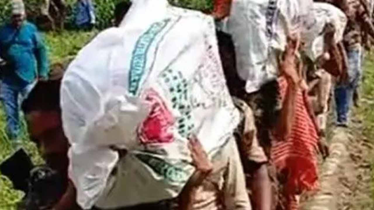 সংগৃহীত ছবি