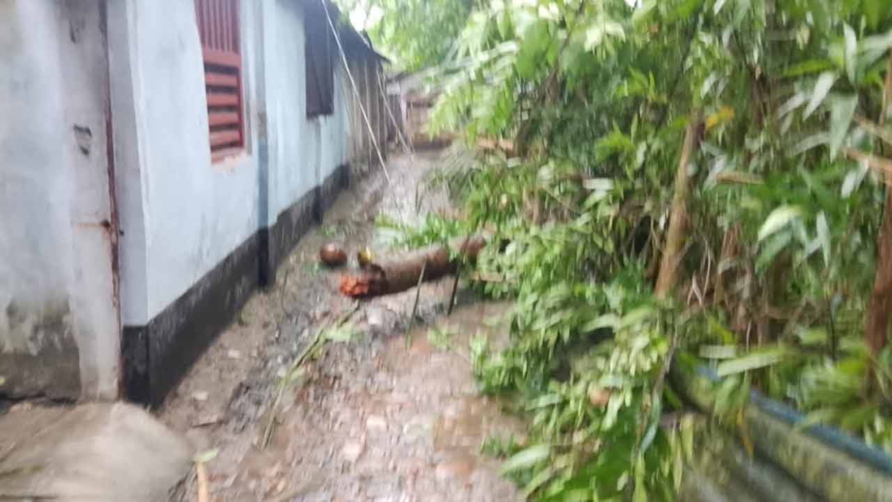 সাতক্ষীরায় কালবৈশাখীর তাণ্ডব, গাছচাপায় প্রাণ গেল শিশুর&nbsp;