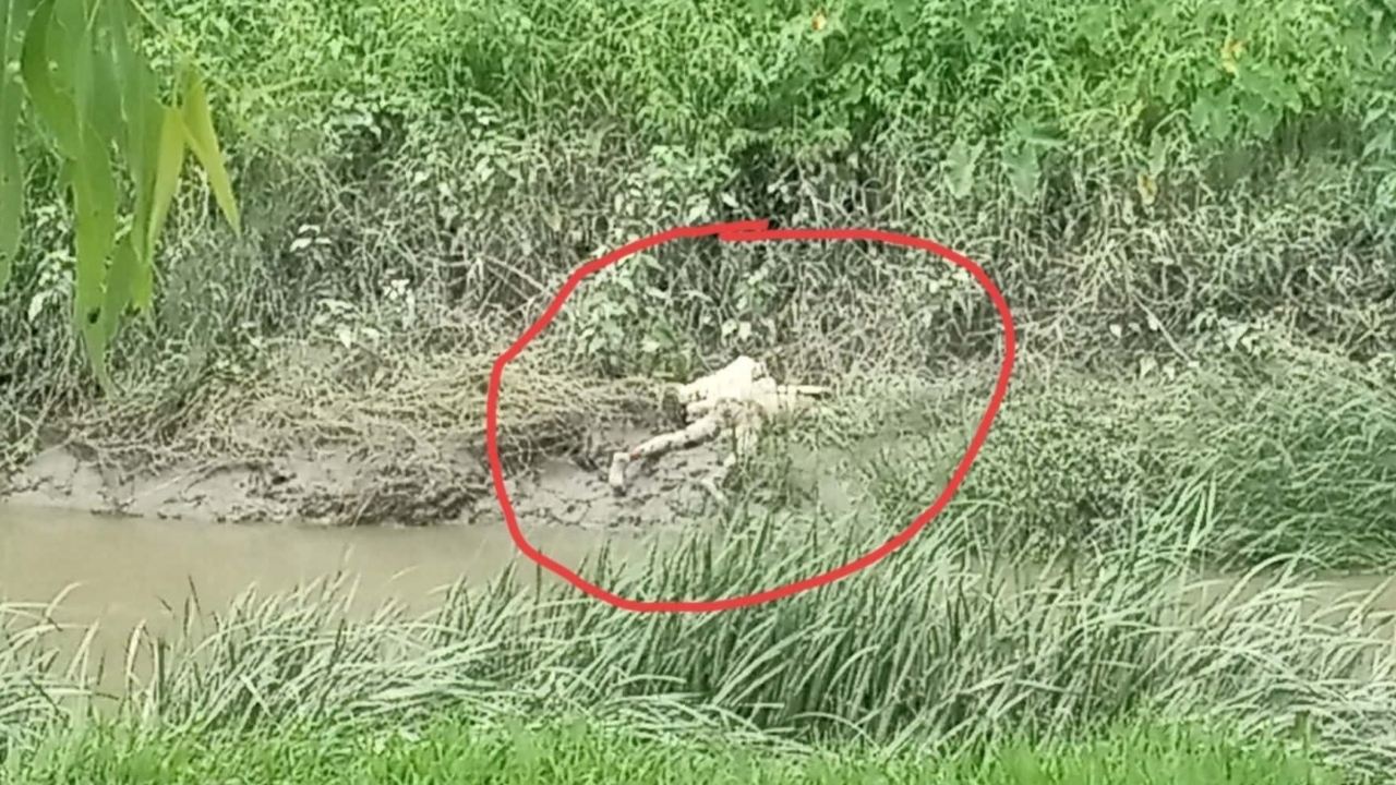 ছবি: দেশ টিভি