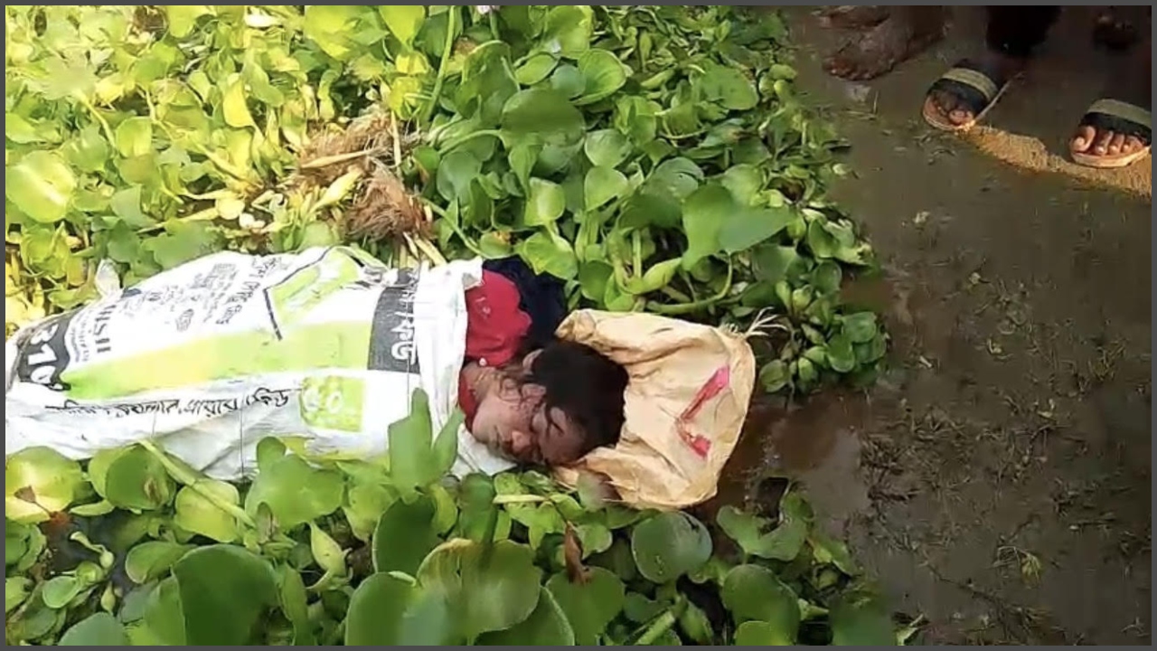 ছবি: সংগৃহীত