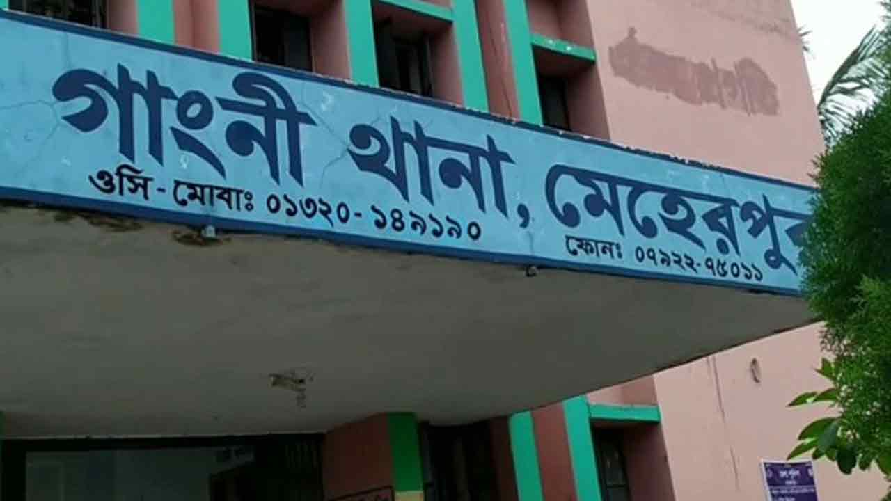 মেহেরপুরে ট্রাক-ইজিবাইক সংঘর্ষে শিশুসহ ৩ জন নিহত
