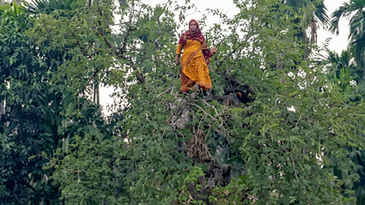 ছবি: দেশ টিভি