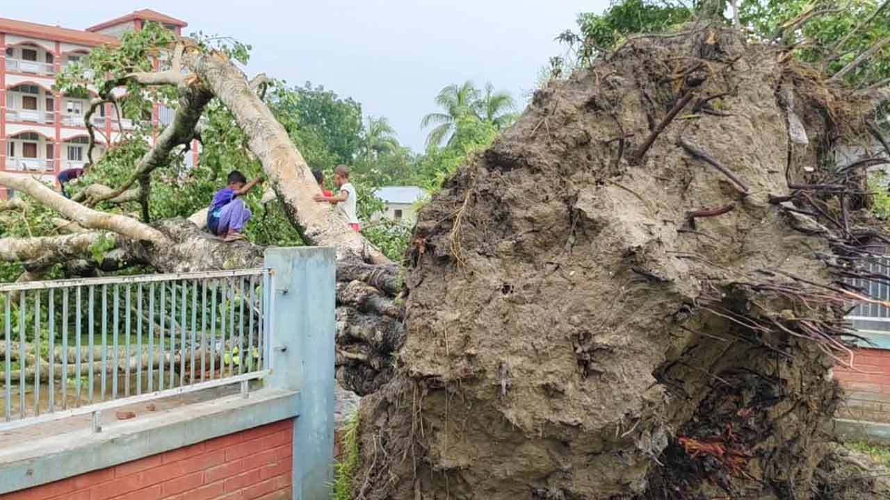 ছবি: দেশ টিভি