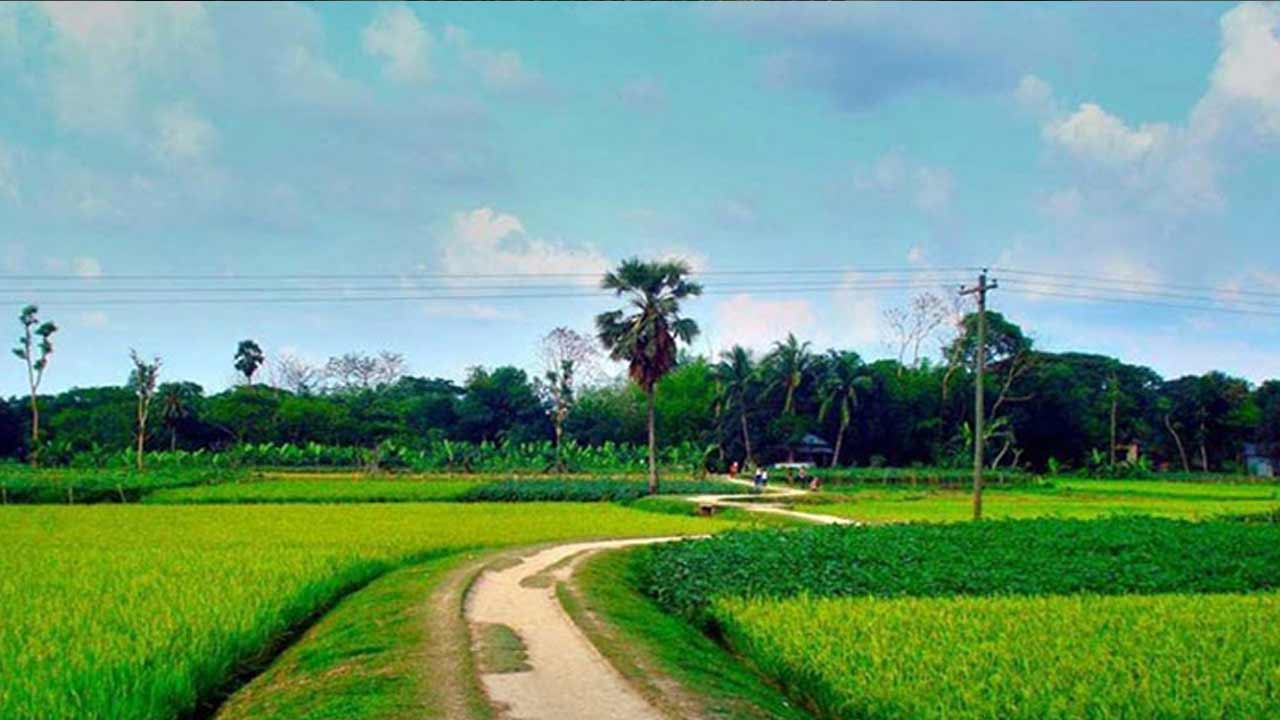 সরকার &lsquo;একটি গ্রাম একটি পণ্য&rsquo; উদ্যোগ বাস্তবায়ন করবে