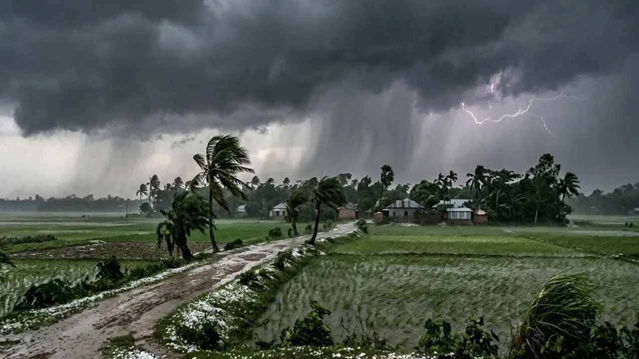 ফাইল ছবি