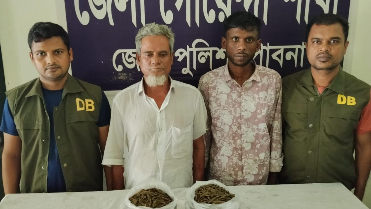 পাবনায় গাঁজাসহ দুই মাদক কারবারি গ্রেপ্তার
