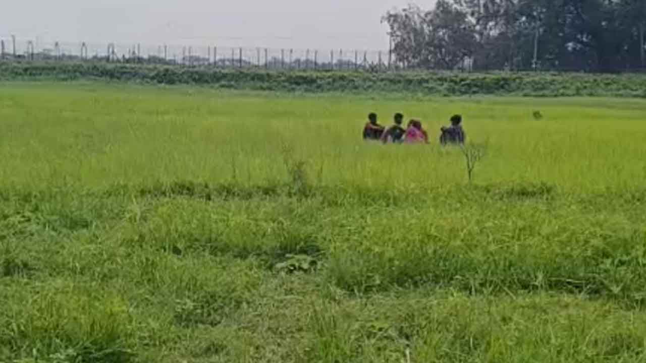 সীমান্তে ৬ জনকে পুশইনের চেষ্টা, সতর্ক অবস্থানে বিজিবি