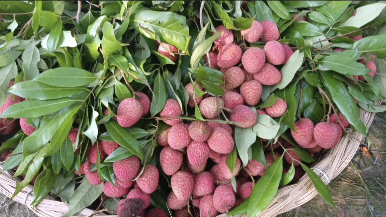 ছবি: দেশ টিভি