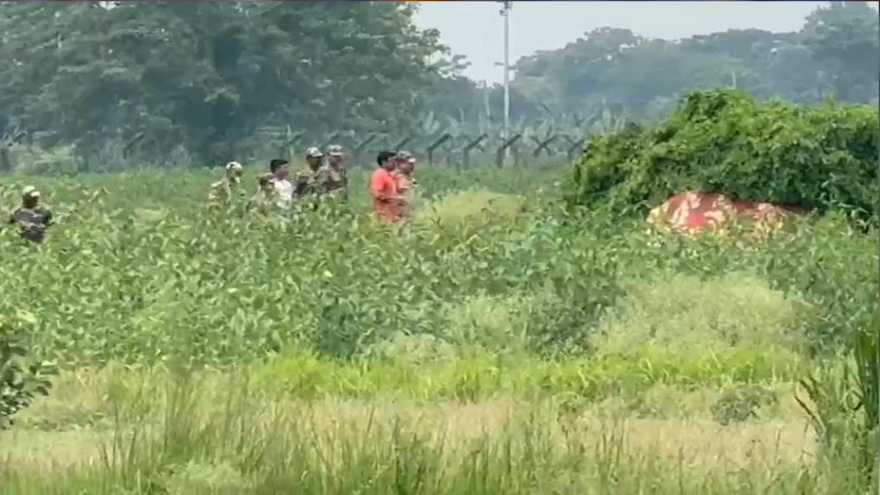 ছবি: সংগৃহীত