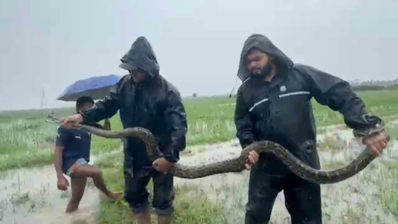 ছবি: দেশ টিভি