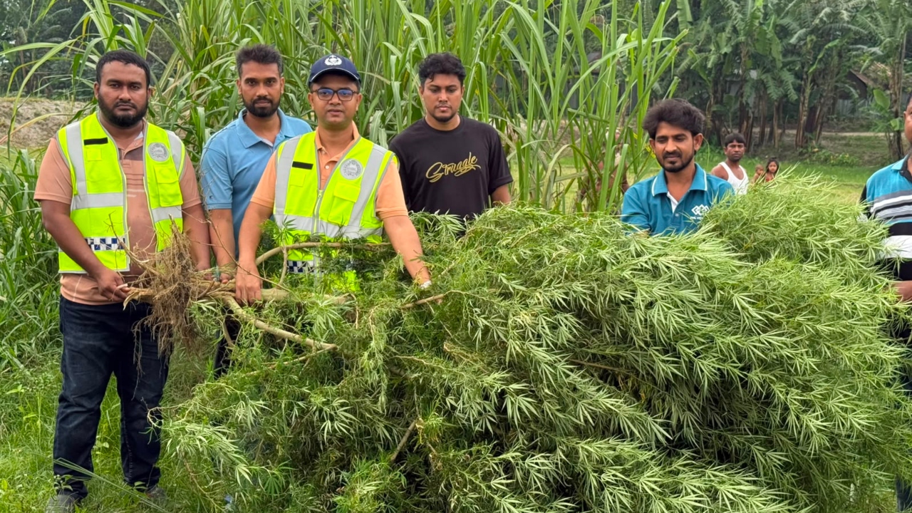 ছবি: দেশ টিভি