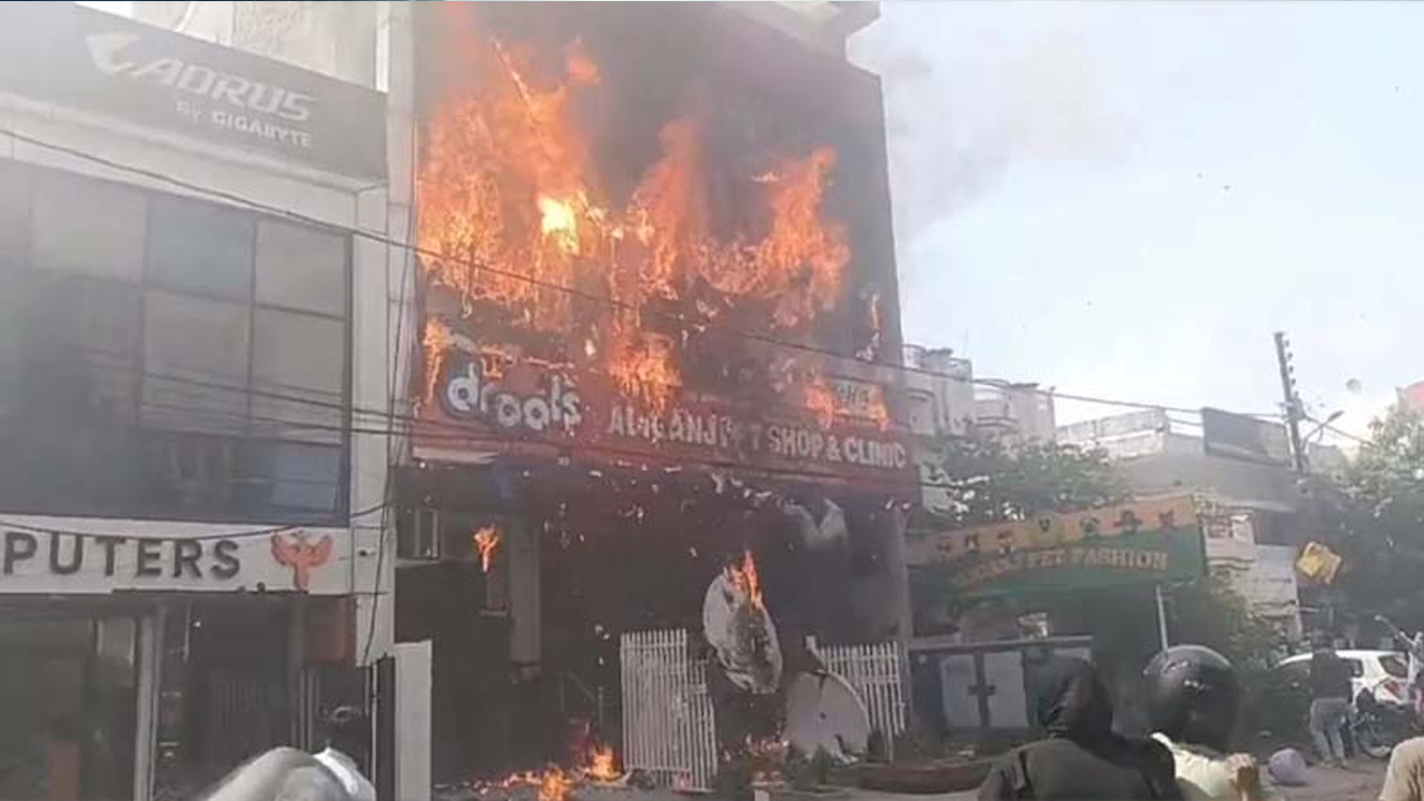 ছবি: সংগৃহীত