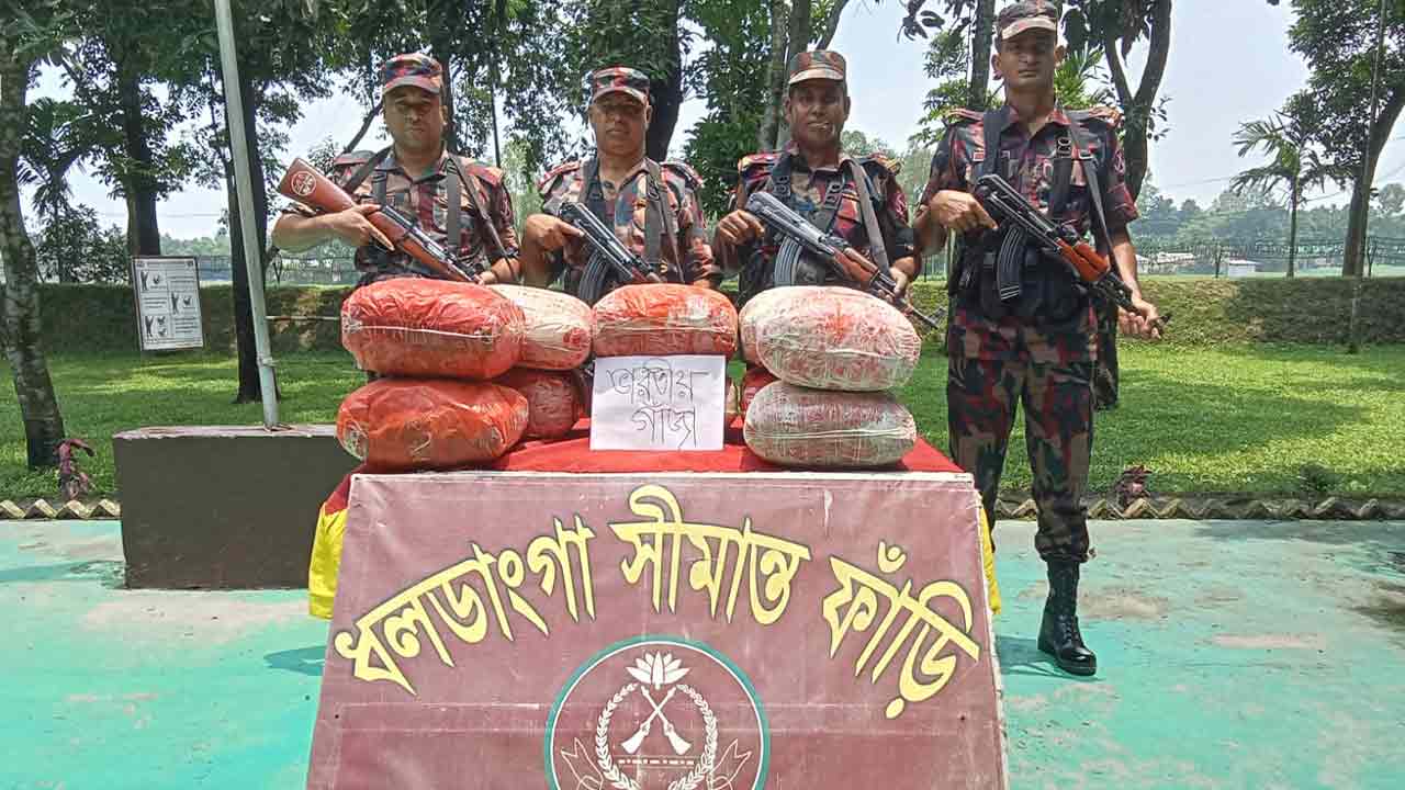 কুড়িগ্রাম সীমান্তে ৫৩ কেজি ভারতীয় গাঁজা জব্দ