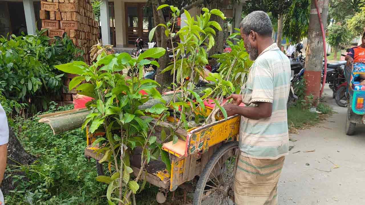 ছবি: দেশ টিভি