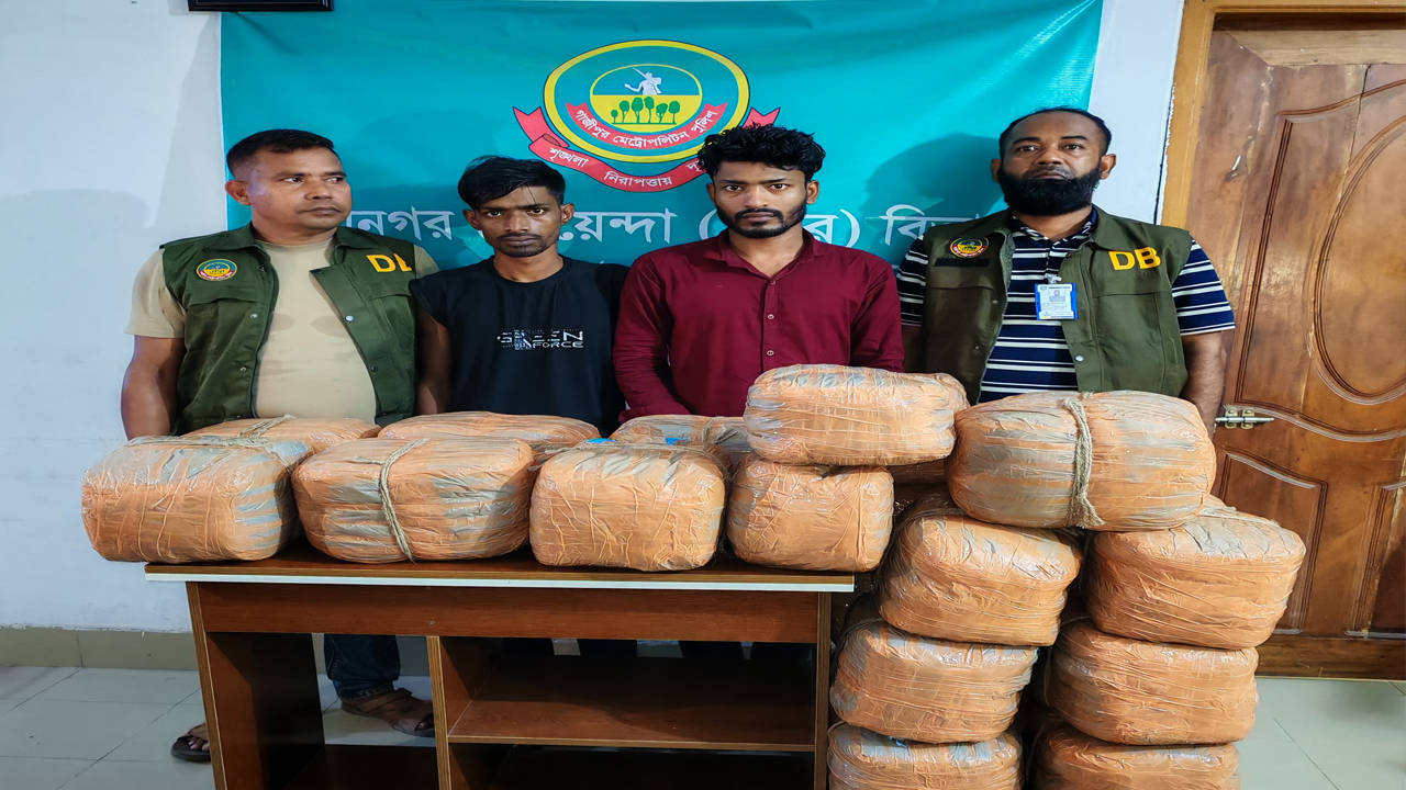 গাজীপুরে ১২০ কেজি গাঁজাসহ দুই মাদক কারবারি গ্রেপ্তার