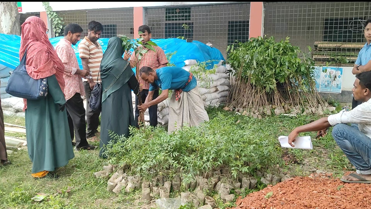 ছবি দেশ টিভি