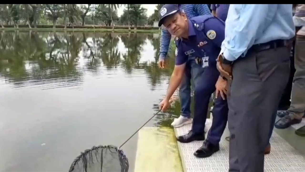 ছবি দেশ টিভি