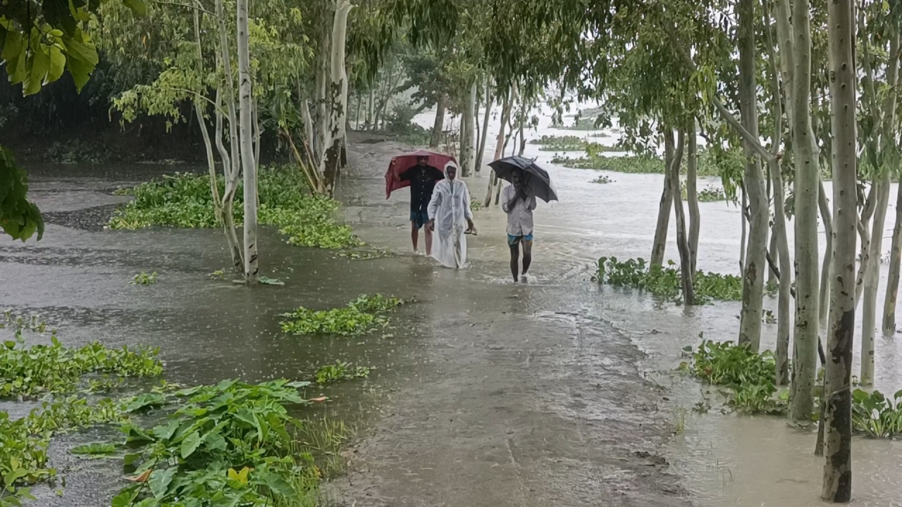 ছবি: দেশ টিভি