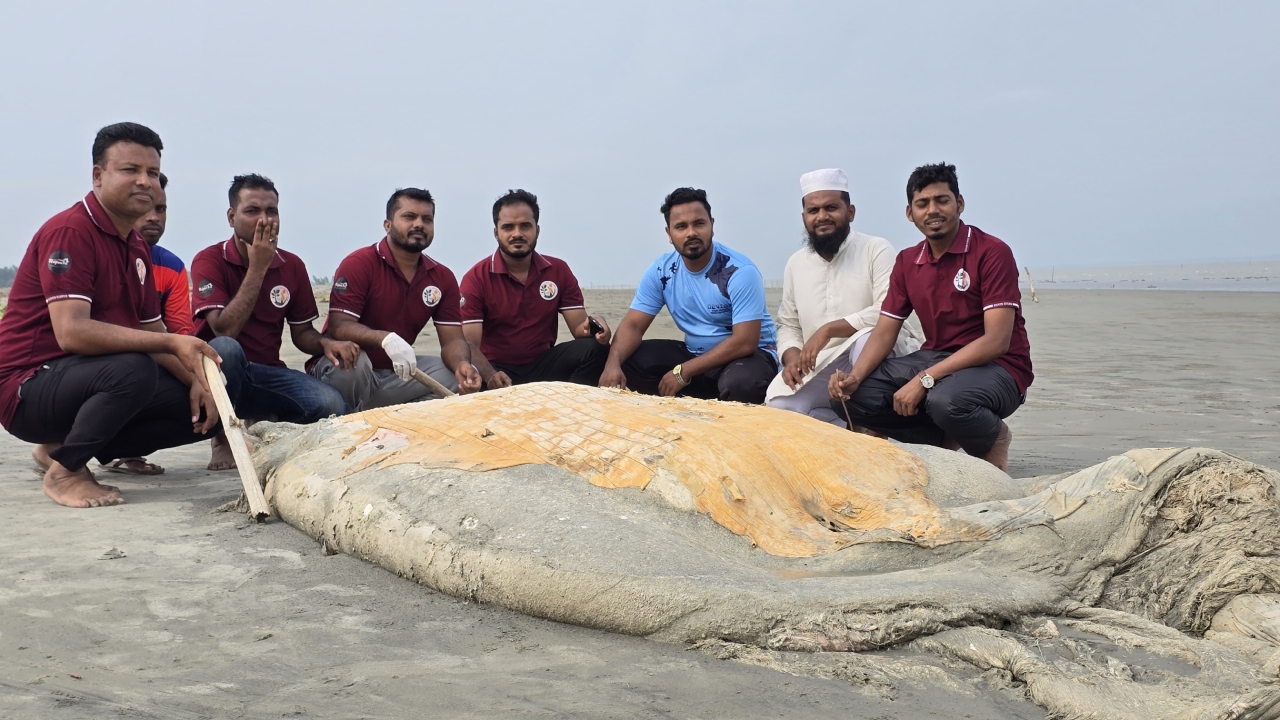 ছবি: দেশ টিভি