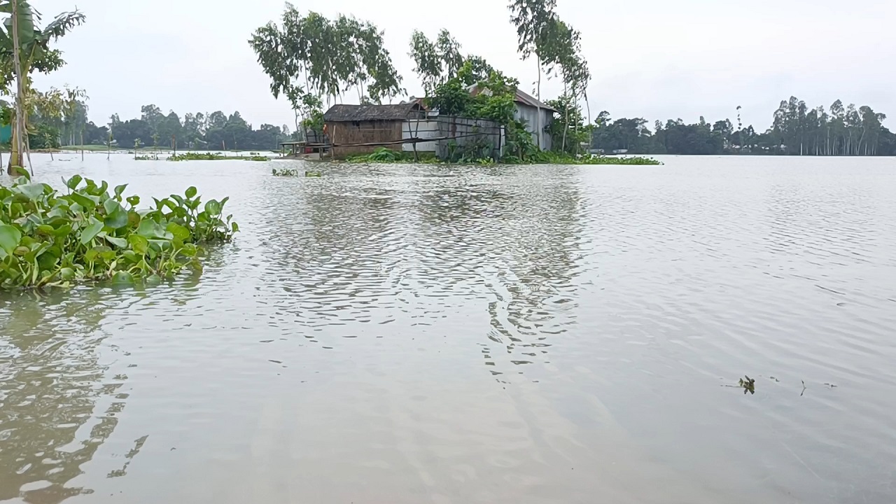 কুড়িগ্রামে কমছে পানি, বাড়ছে ভাঙন-ক্ষতিগ্রস্ত ৫০০ হেক্টর ফসল