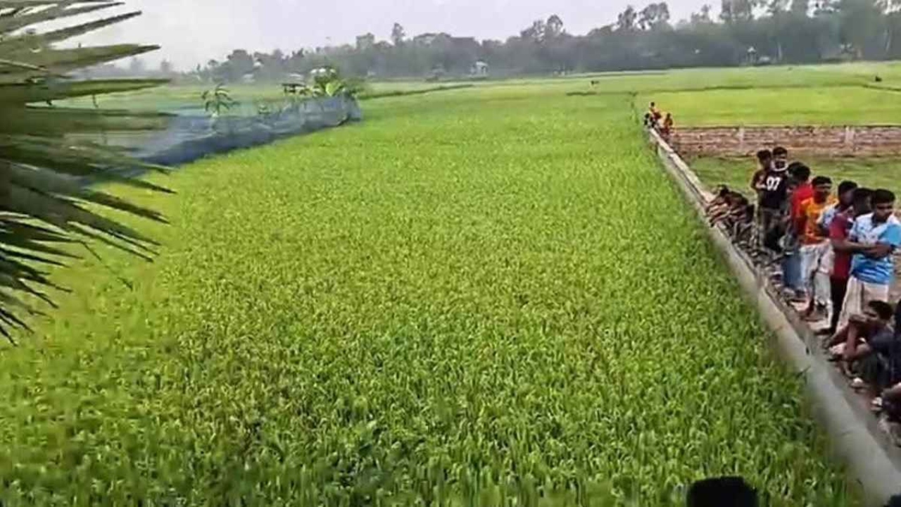 ছবি: দেশ টিভি