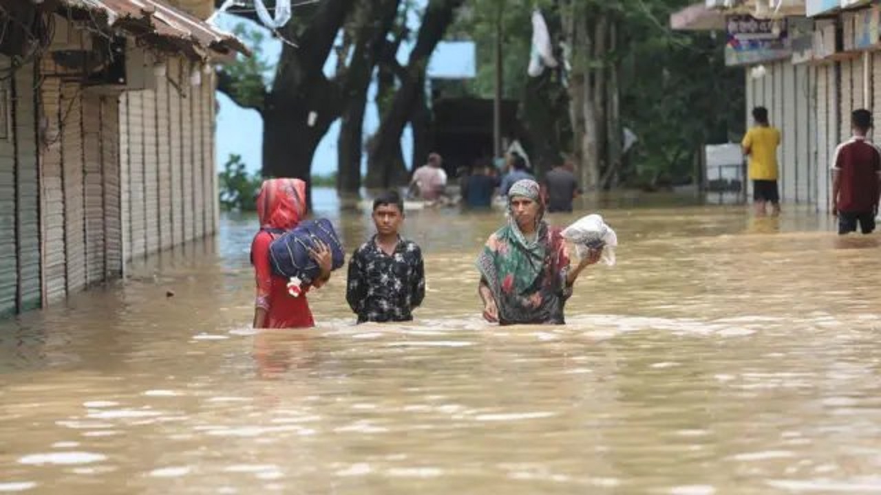 সংগৃহীত ছবি