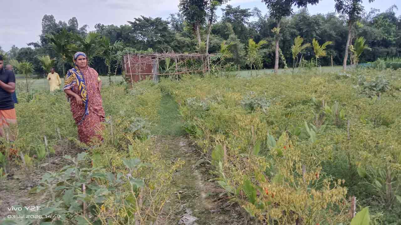 দেশ টিভি