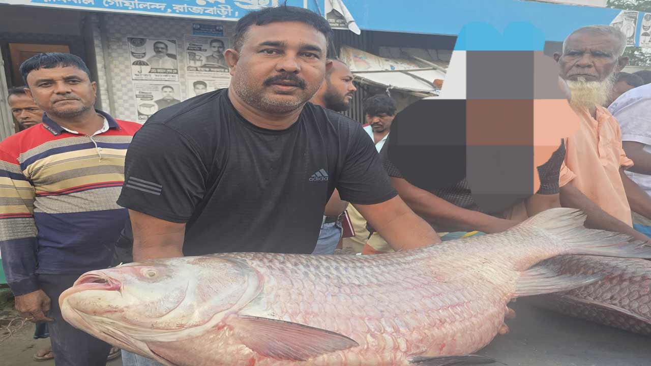 দেশ টিভি